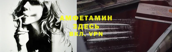 ешки Болотное