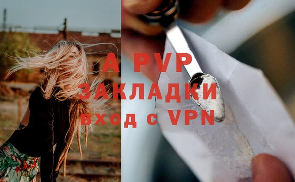 ешки Болотное