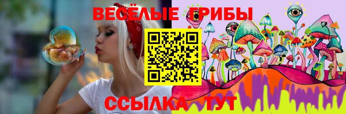 Псилоцибиновые грибы Cubensis  Вход с VPN  Черкесск 
